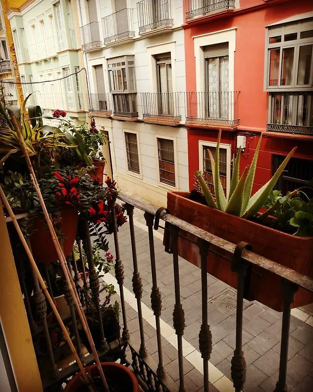 Montano17 Apartment Malaga